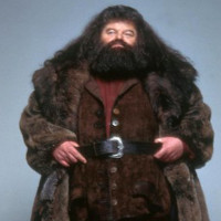 hagrid.jpg